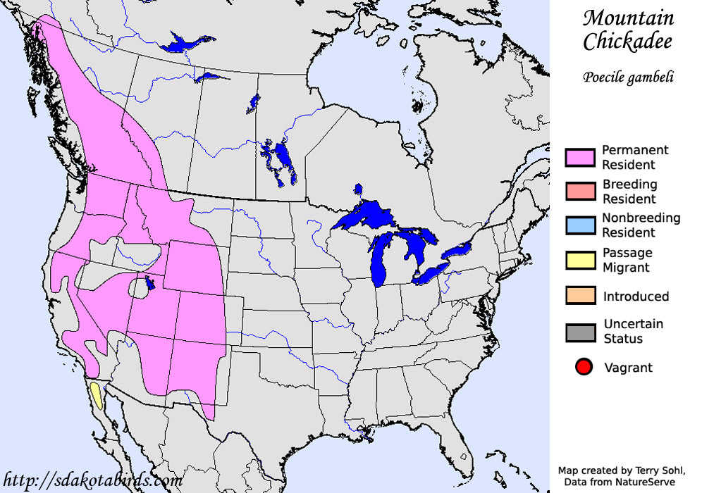 Mountain Chickadee - Range Map