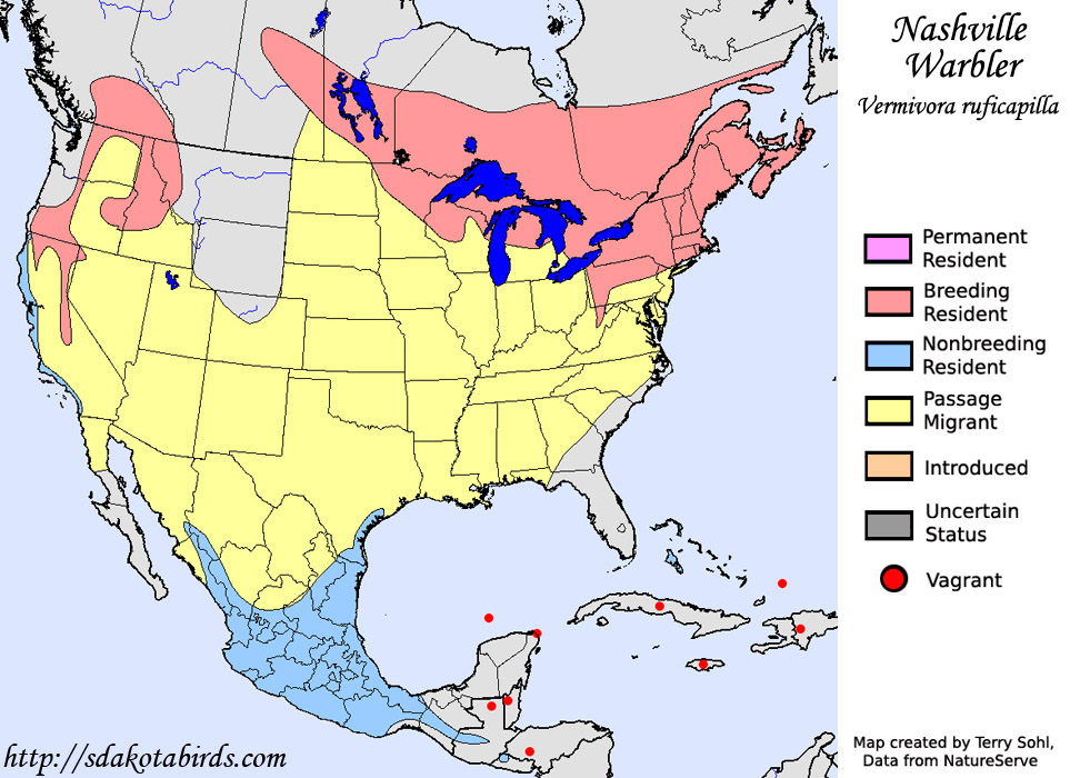 Nashville Warbler - Range map