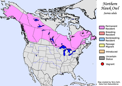 Northern Hawk Owl - Range Map