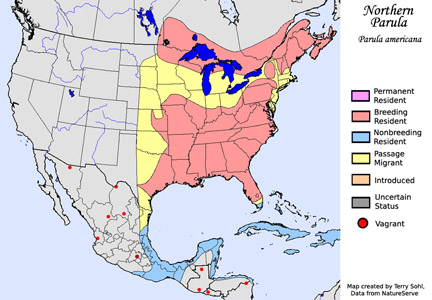 Northern Parula - Range Map