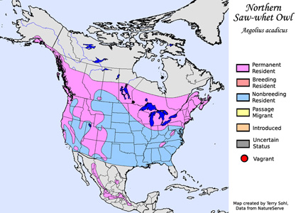 Northern Saw-whet Owl - Range Map