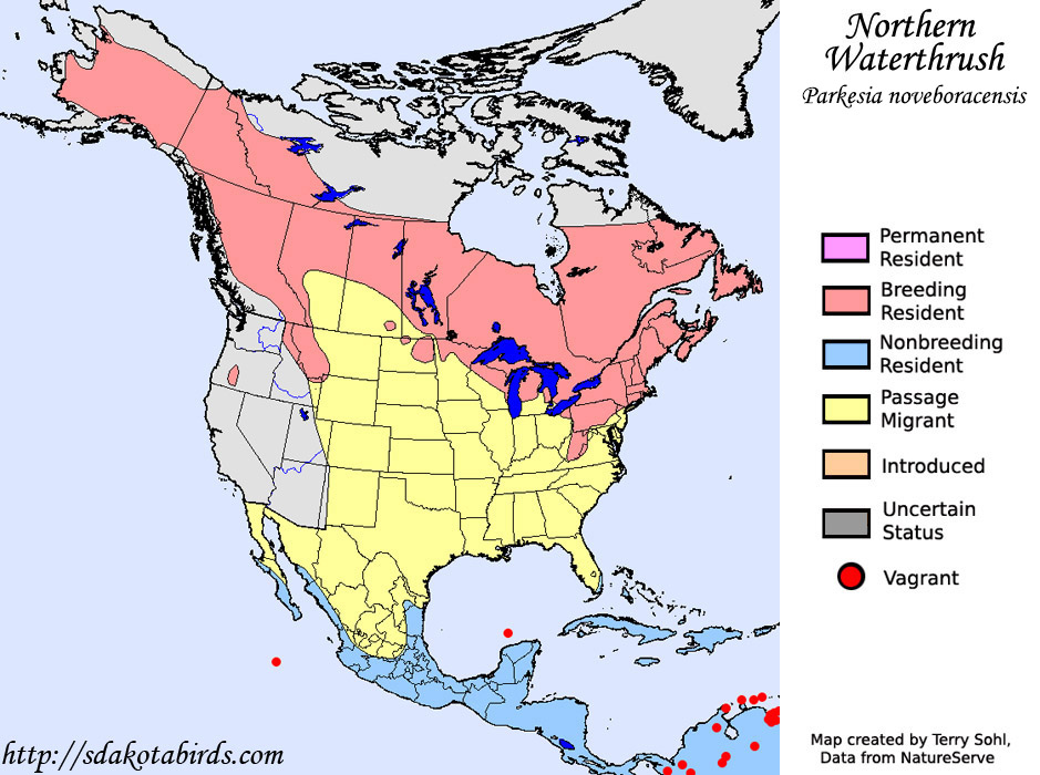 Northern Waterthrush - Range Map
