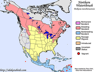 Northern Waterthrush - Range Map