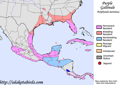 Range Map - Purple Gallinule