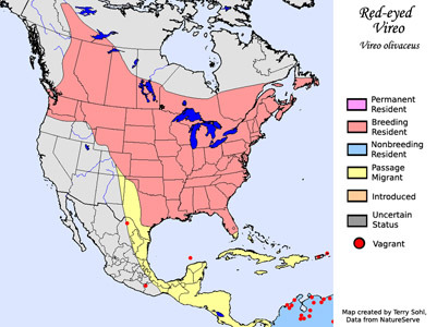 Red-eyed Vireo - Range Map