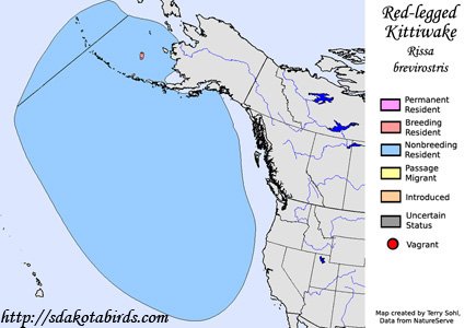 Red-legged Kittiwake - Range Map