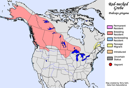 Red-necked Grebe - Range Map