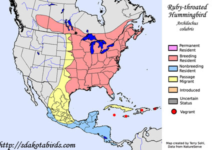 Ruby-throated Hummingbird - Archilochus colubris - Range Map