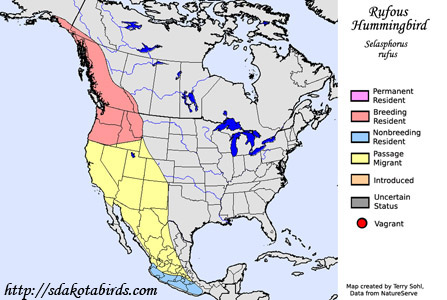 Rufous Hummingbird - Selasphorus rufus - Range map