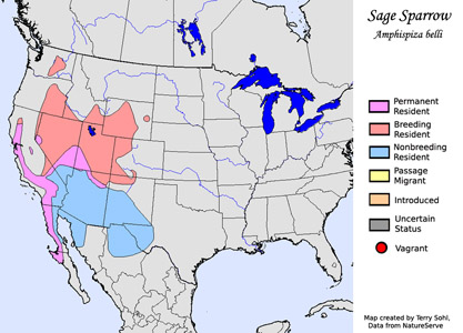 Sage Sparrow - Range Map