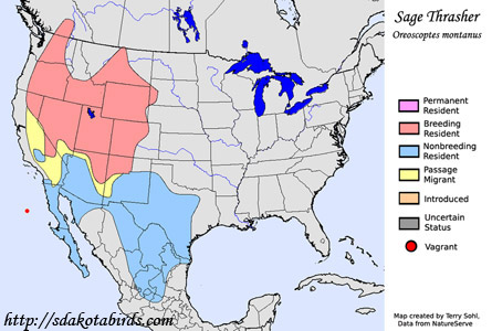 Sage Thrasher - Range Map