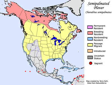 Range Map - Semipalmated Plover
