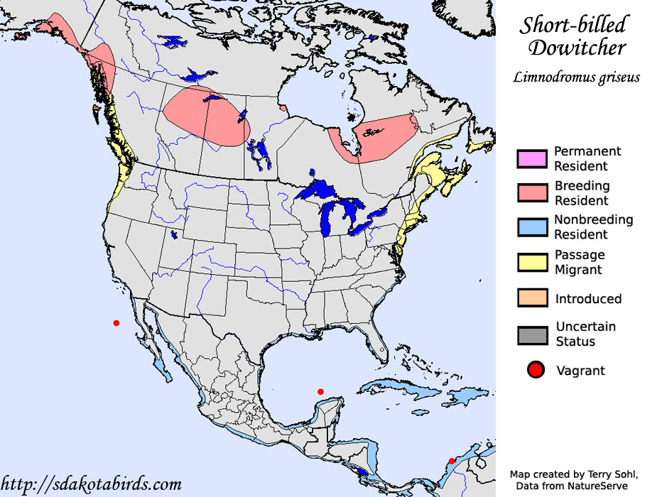 Short-billed Dowitcher - Range Map