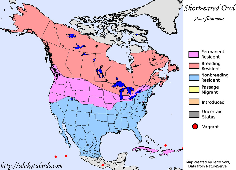 Short-eared Owl - Range Map
