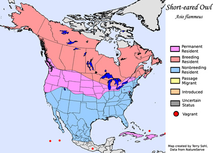 Short-eared Owl - Range Map