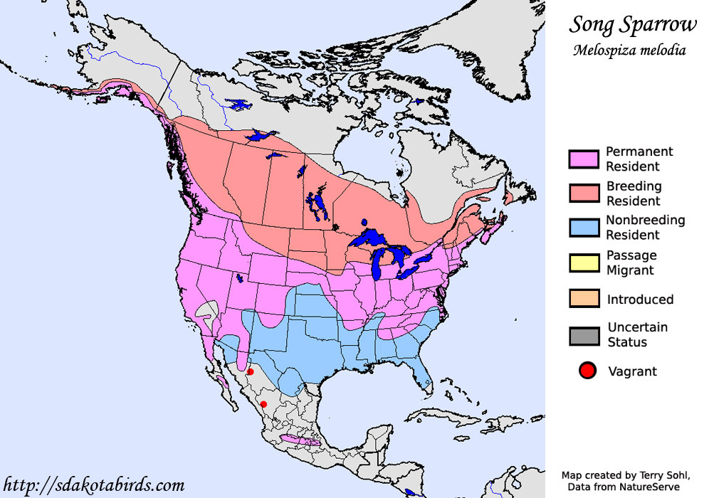 Song Sparrow - North American Range Map