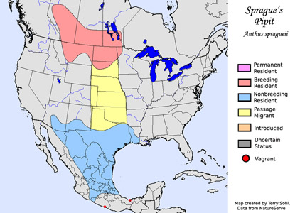 Sprague's Pipit - Range Map