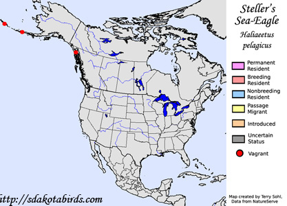 Steller's Sea-Eagle - Range Map