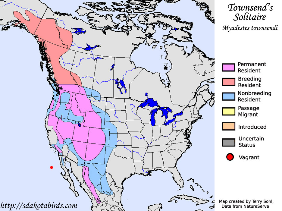 Townsend's Solitaire - Range Map