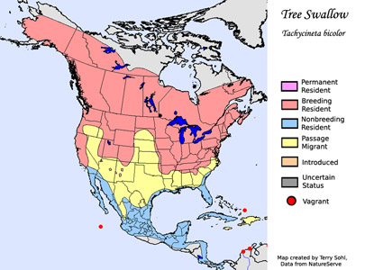 Tree Swallow - Range Map