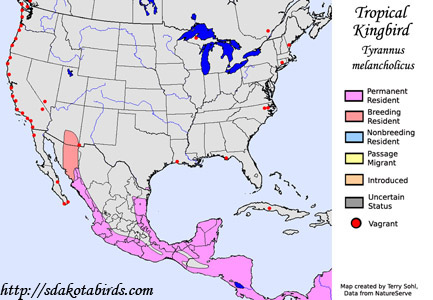 Tropical Kingbird - Range Map