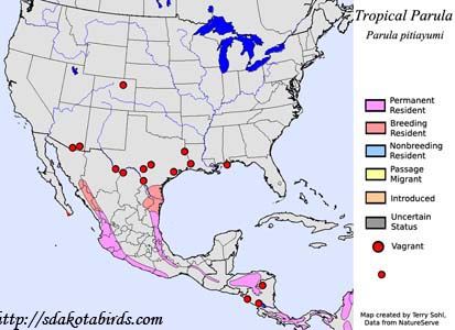Tropical Parula - Range Map