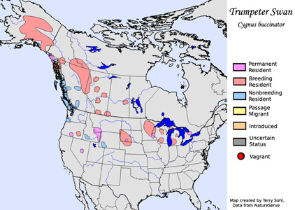 Trumpeter Swan - Range Map