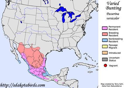 Varied Bunting - Range Map