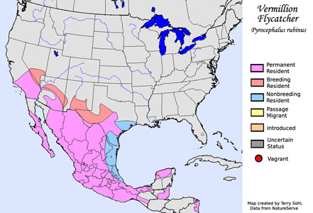 Vermillion Flycatcher - Range Map