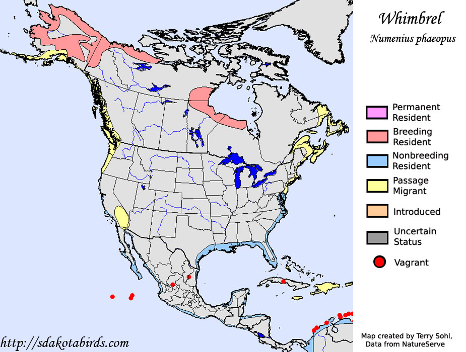 Whimbrel - Range Map