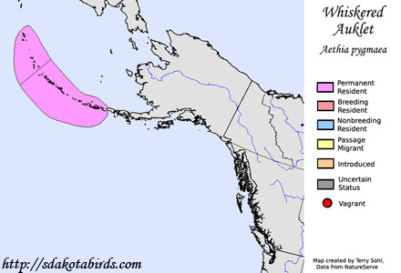 Whiskered Auklet - Range Map
