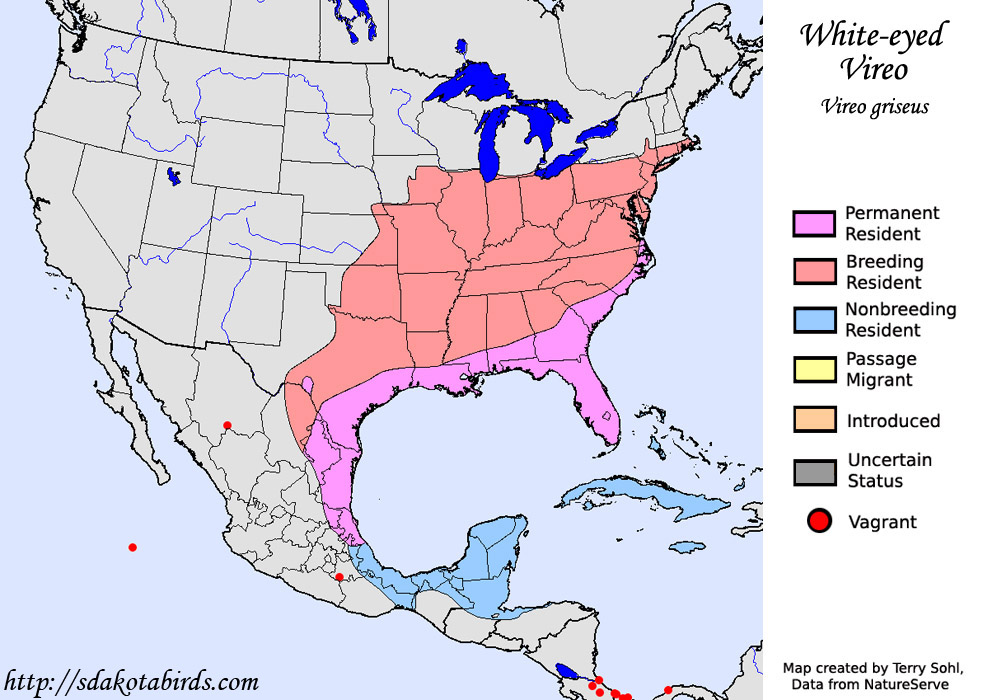 White-eyed Vireo - Range Map