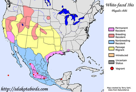 White-faced Ibis - Range Map