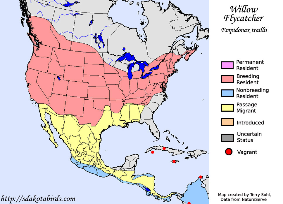 Willow Flycatcher - Range Map