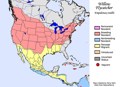 Willow Flycatcher - Range Map