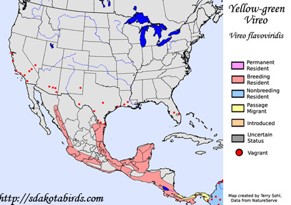 Yellow-green Vireo - Range Map