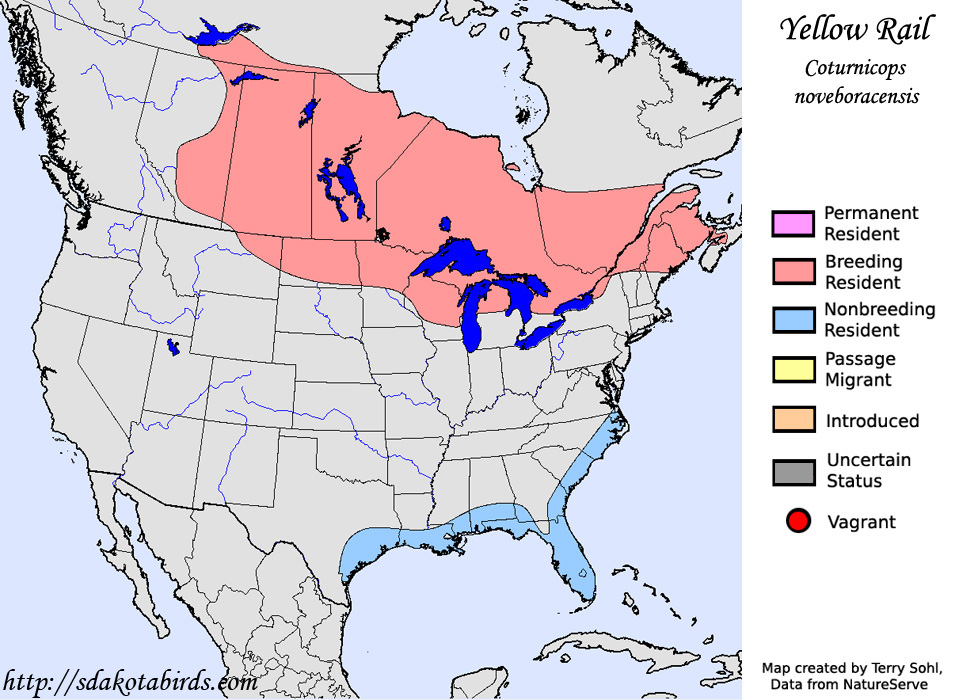 Yellow Rail - Range Map