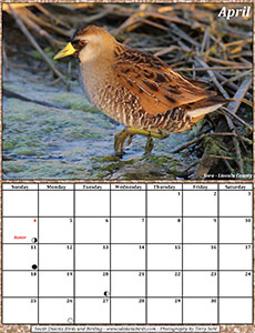 April 2021 Calendar - South Dakota Birds and Birding