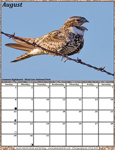 August 2021 Calendar - South Dakota Birds and Birding