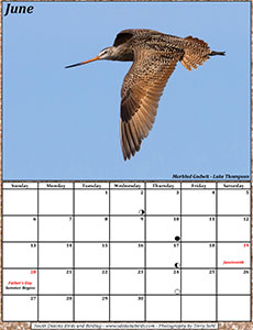 June 2021 Calendar - South Dakota Birds and Birding