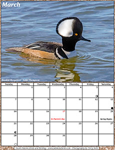 March 2021 Calendar - South Dakota Birds and Birding