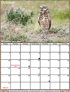 October 2021 Calendar - South Dakota Birds and Birding 2021 Calendar - South Dakota Birds and Birding