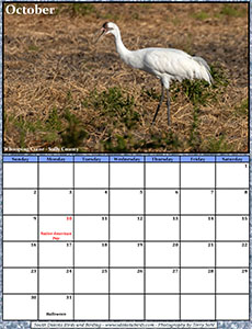 Free October 2022 Calendar - Whooping Crane