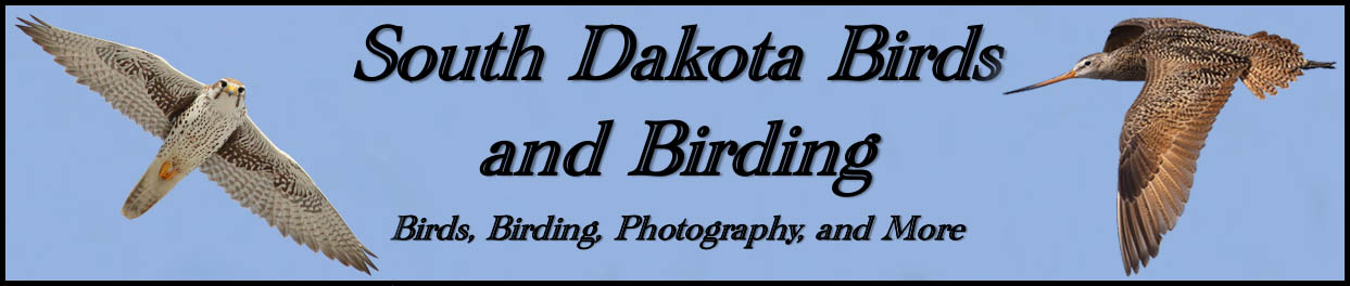 South Dakota Birds and Birding