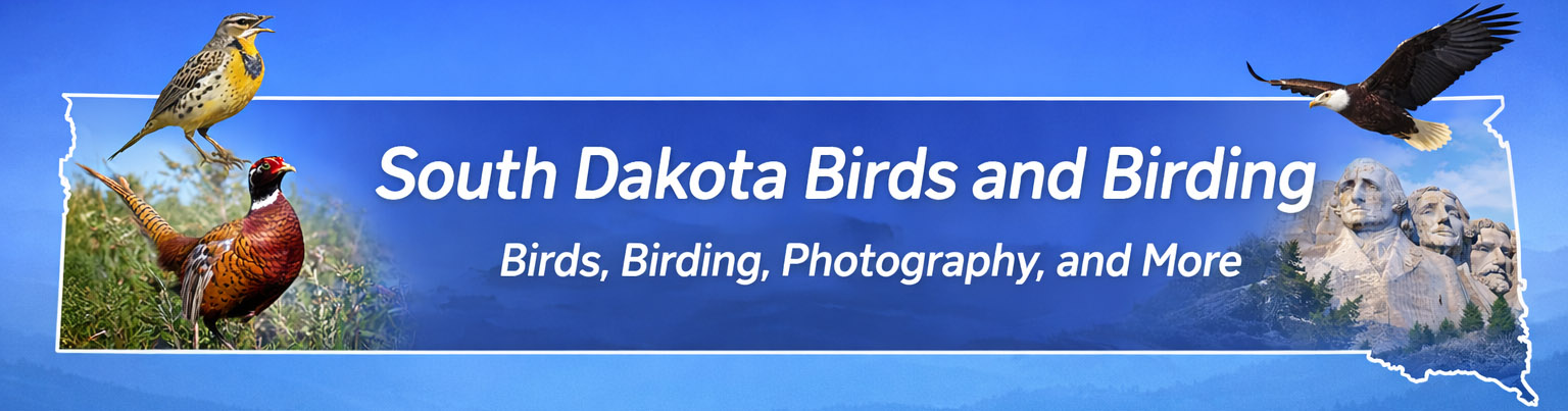 South Dakota Birds and Birding