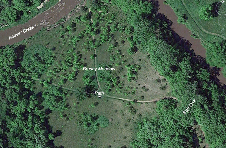 Beaver Creek Nature Area - Brushy Meadow Area