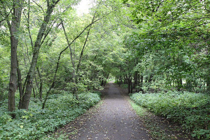 Big Sioux Recreation Area - South Dakota Birding "Hotspot"