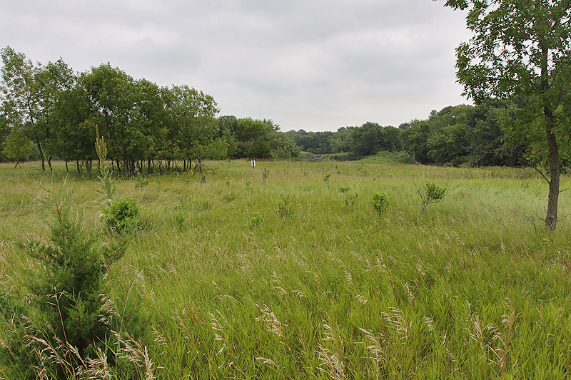 Big Sioux Recreation Area - South Dakota Birding "Hotspot"