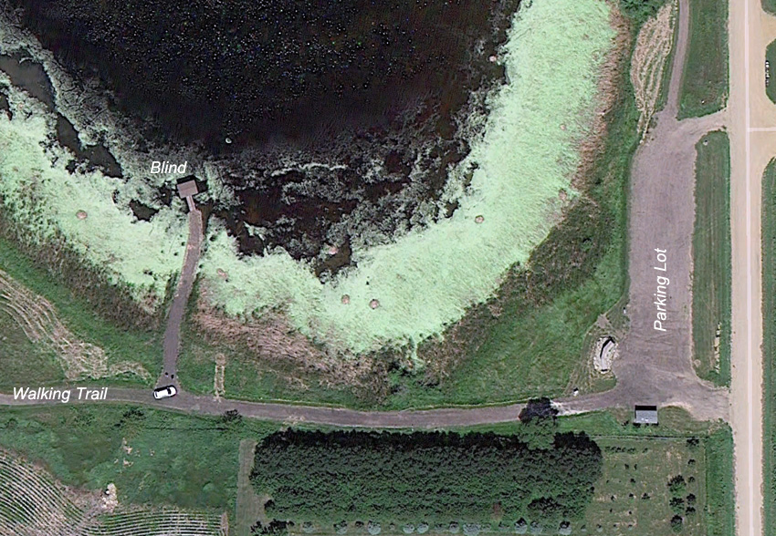Dewey Gevik Nature Area - Birding and Observation Blind