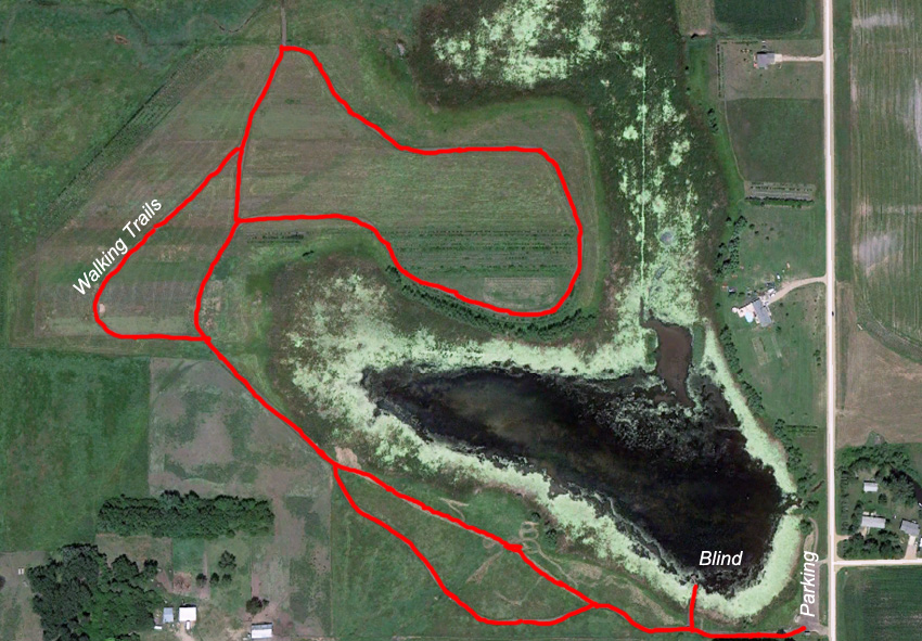 Dewey Gevik Nature Area - Walking Trails